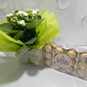 Kalanchoe com Ferrero