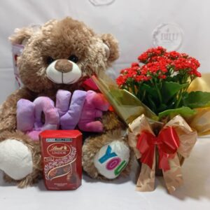 kalanchoe com urso e chocolate