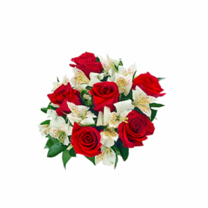 Buquê com 6 Rosas Vermelhas e Astromélias